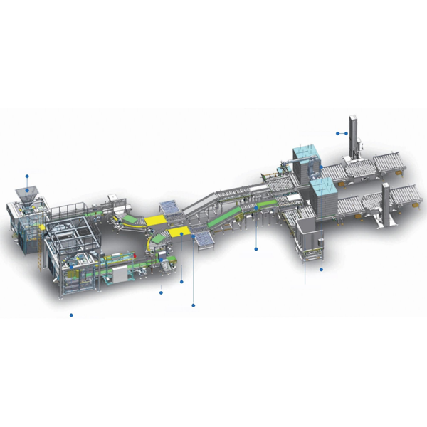 全自動包裝和碼垛系統(tǒng)